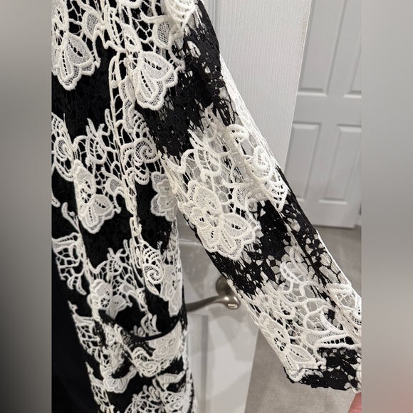 Albert Nipon Black and Porcelain Lace Overlay Dress - Picture 6 of 16